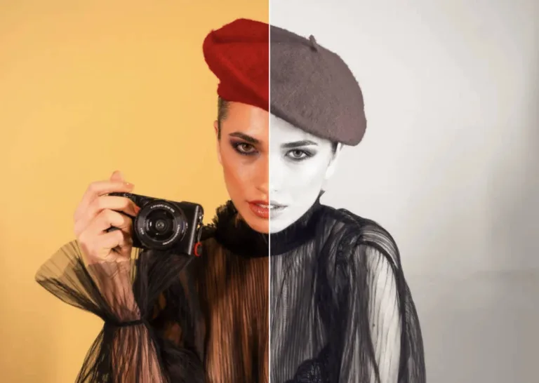Preset LUT 1000 nuances de gris Action Affinity Photo Gratuite Preset LUT 1000 nuances de gris