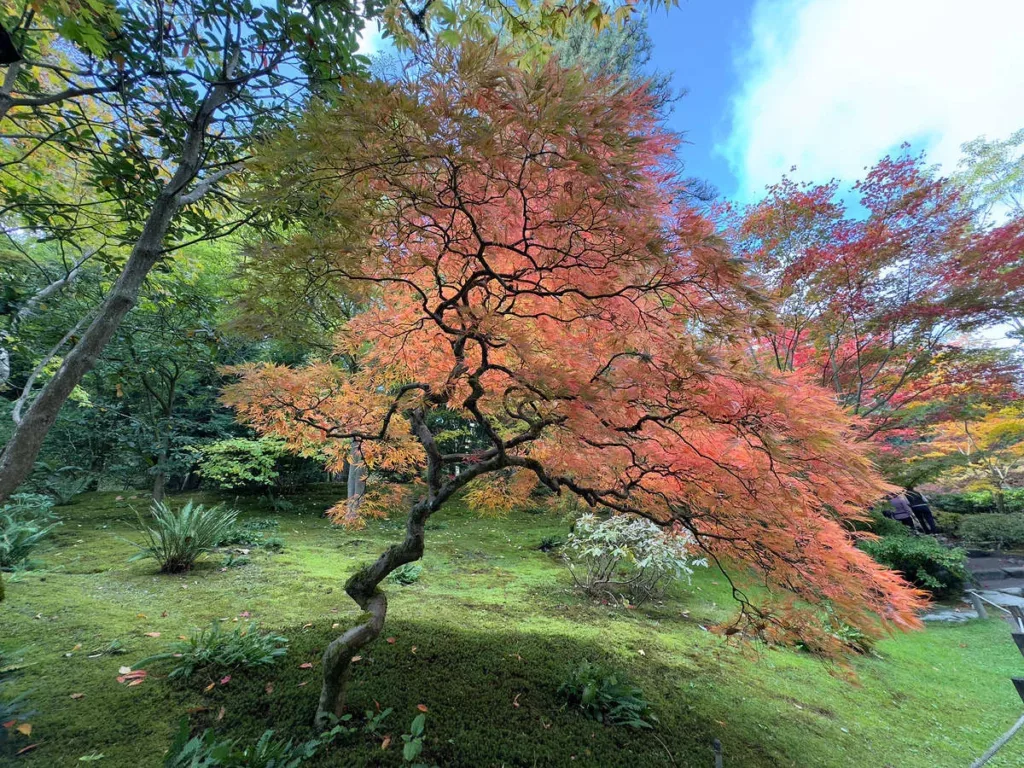 @Jeff L Carlson Lens- iPhone 15 Pro ultrawide camera 2.22 mm, 1:100 sec, f:2.2, ISO 80 4,032 × 3,024 (12.2 MP)