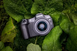 Canon eos r8 1 Canon eos r8