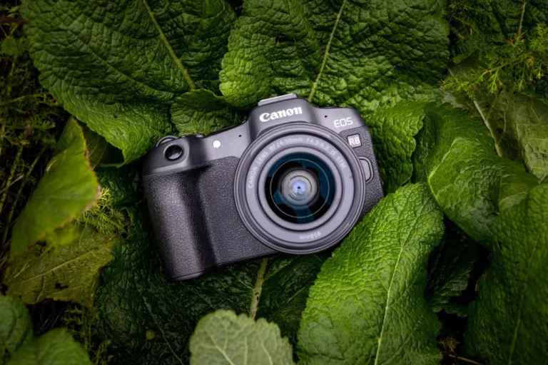 EOS R8 vs R7 vs RP : quel appareil photo hybride Canon choisir ?